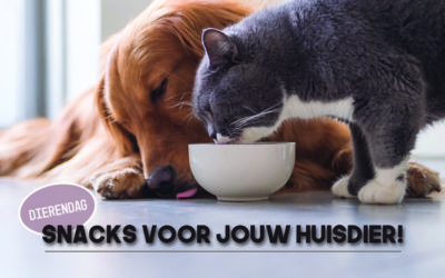 Dierendag – Snacks voor jouw huisdier!