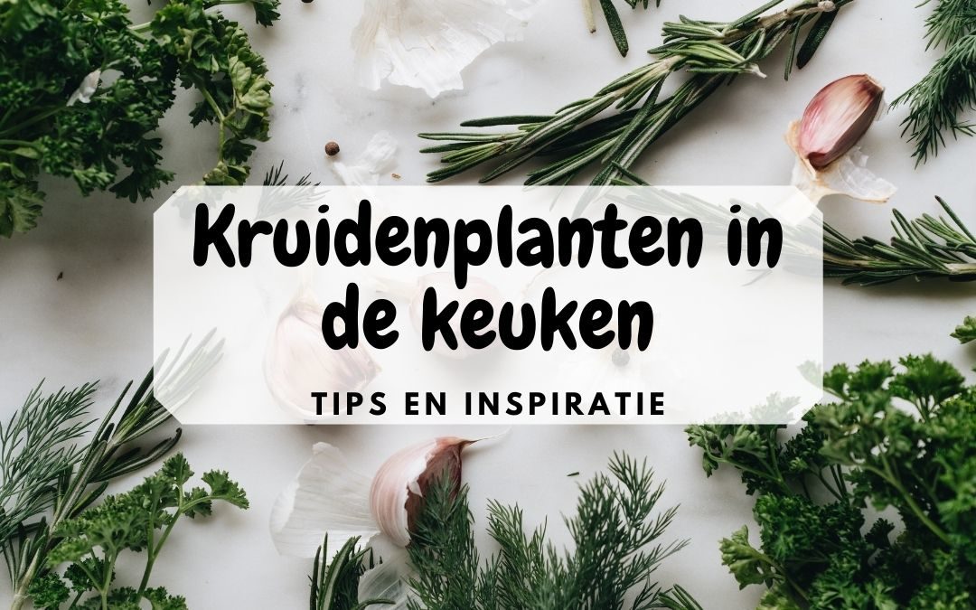 Kruidenplanten in de keuken: Zo doe je dat!