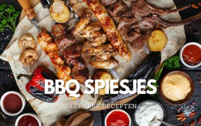 2 recepten voor lekkere BBQ spiesjes