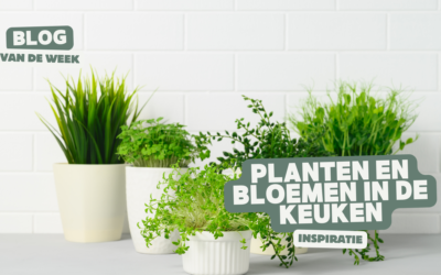 Planten en bloemen in de keuken – inspiratie