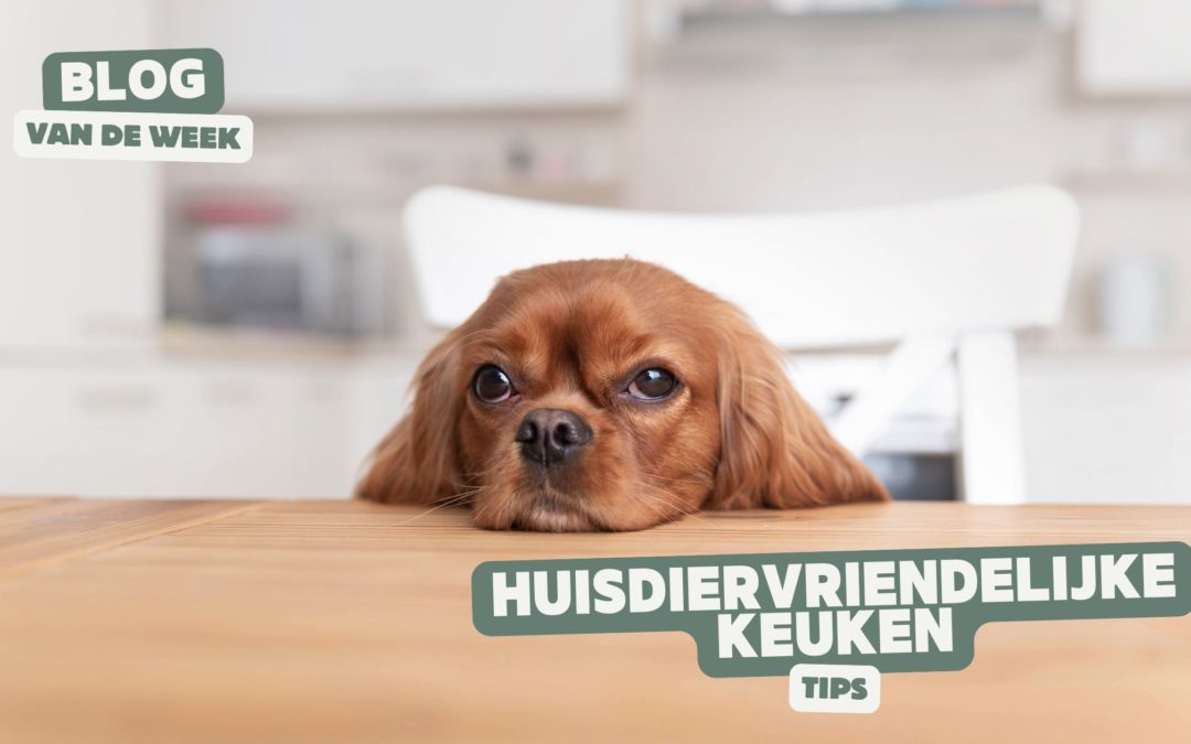 huisdiervriendelijke keuken